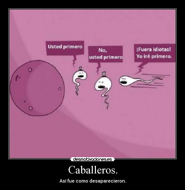 Caballeros. - Así fue como desaparecieron.