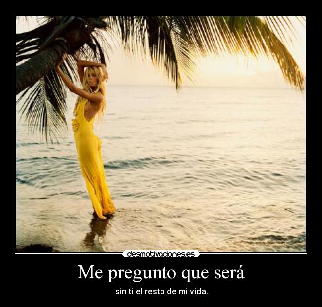 carteles pregunto vida sin desmotivaciones