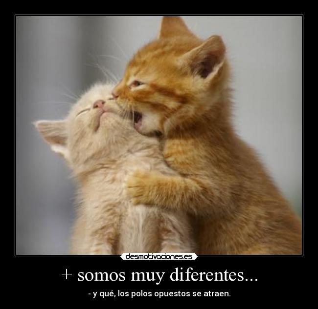 + somos muy diferentes... - 
