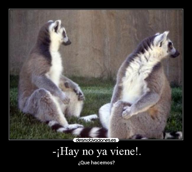 -¡Hay no ya viene!. - ¿Que hacemos?
