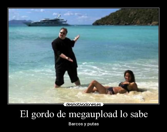 carteles megaupload gordo sabe desmotivaciones