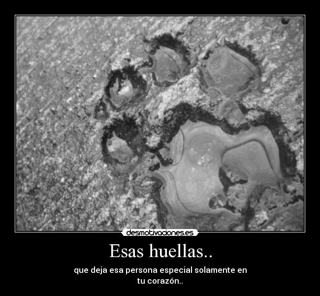 Esas huellas.. -