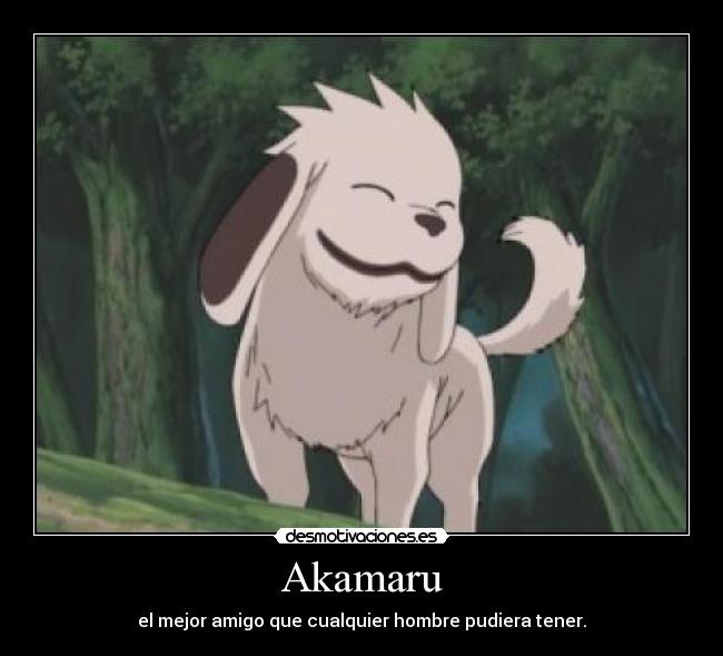 Akamaru - 