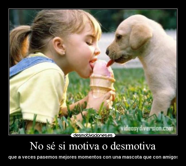 No sé si motiva o desmotiva - que a veces pasemos mejores momentos con una mascota que con amigos