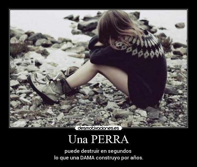 Una PERRA - puede destruir en segundos
lo que una DAMA construyo por años.