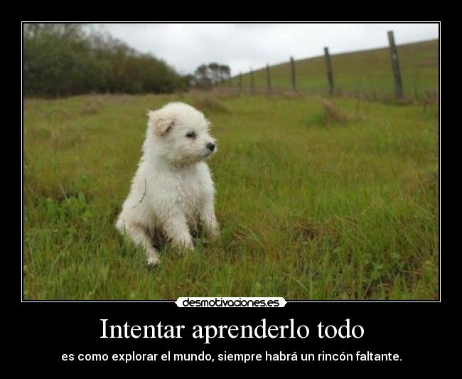 Intentar aprenderlo todo - es como explorar el mundo, siempre habrá un rincón faltante.