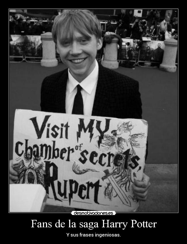 Fans de la saga Harry Potter -