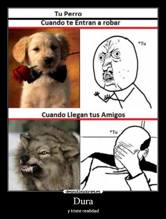 Dura - y triste realidad