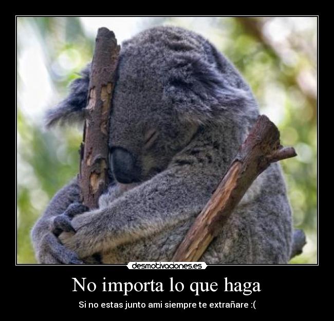 carteles desmotivsciones desmotivaciones