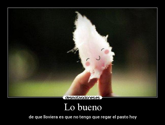 Lo bueno - de que lloviera es que no tengo que regar el pasto hoy