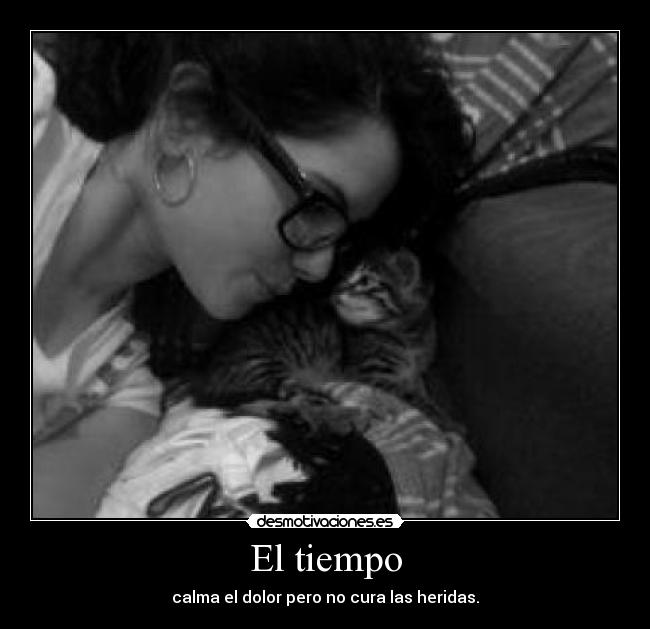 carteles heridas desmotivaciones