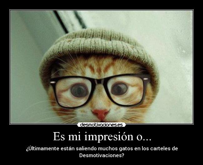 Es mi impresión o... - ¿Últimamente están saliendo muchos gatos en los carteles de Desmotivaciones?