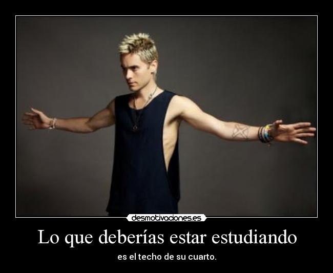 Lo que deberías estar estudiando -