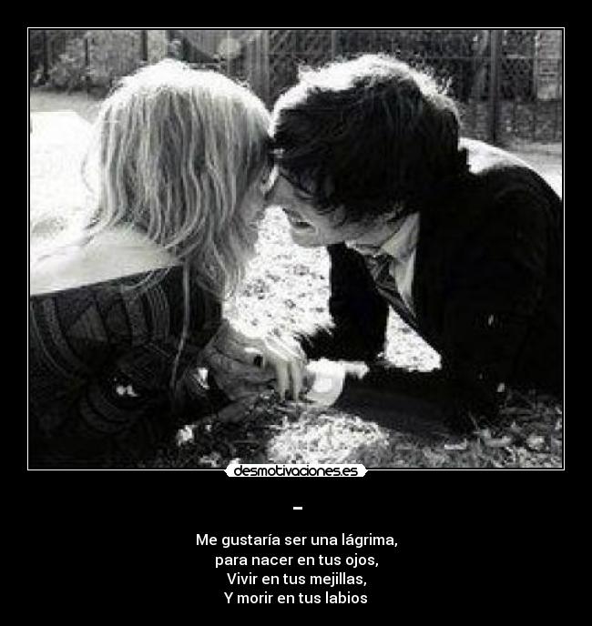 carteles fdgsgfdg desmotivaciones