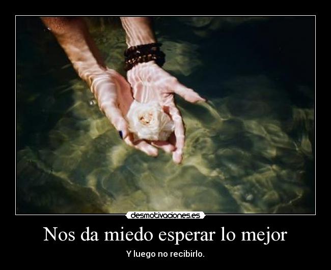 carteles miedo decepcion desmotivaciones