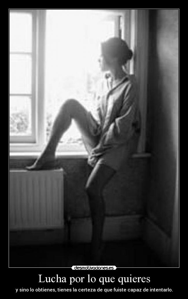 Lucha por lo que quieres -