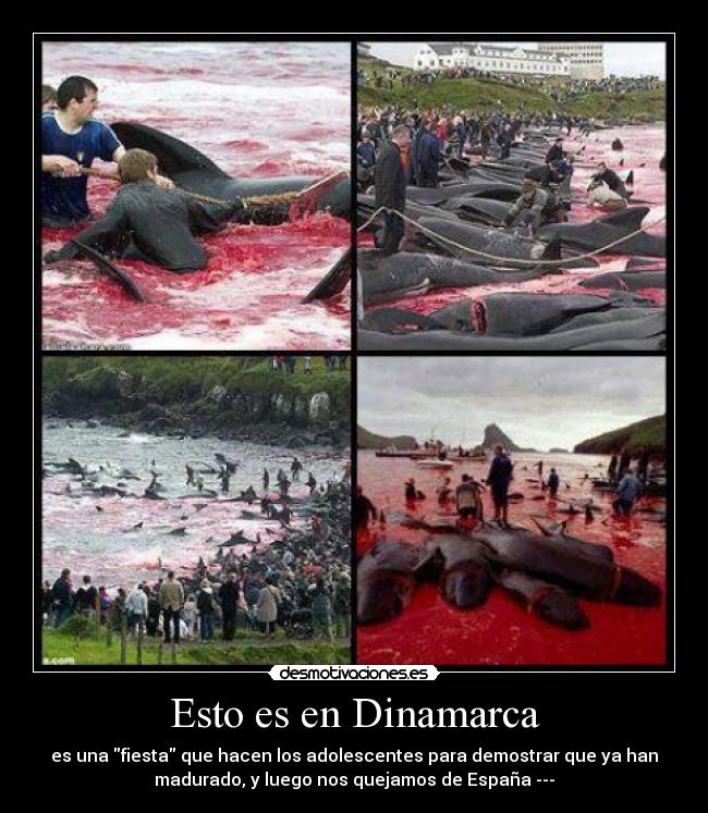 Esto es en Dinamarca -