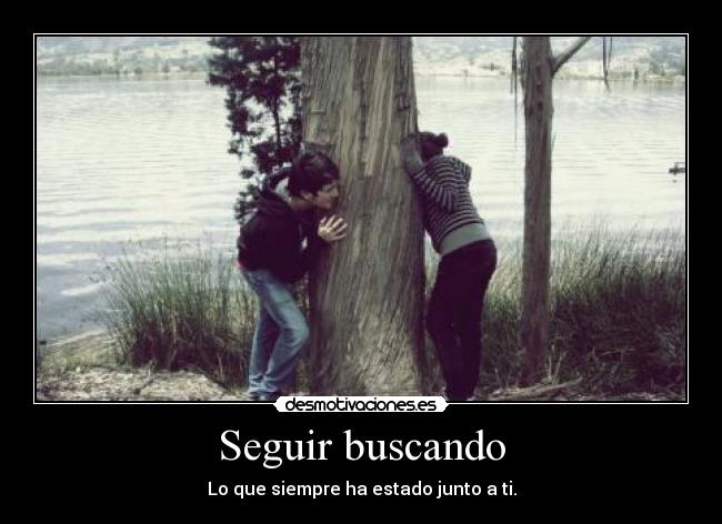 Seguir buscando - 