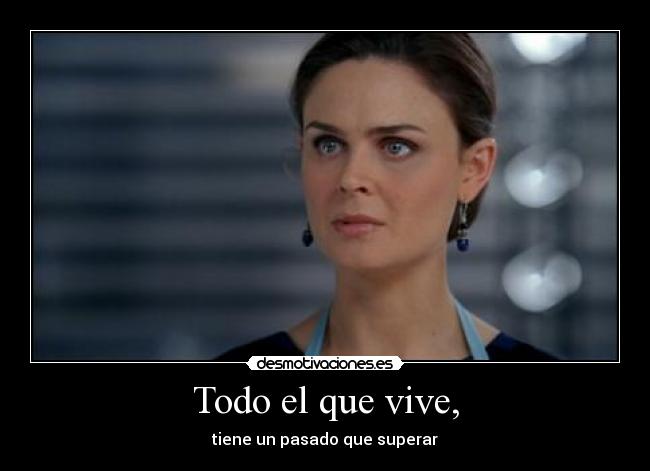 carteles pachusdefresa bones desmotivaciones