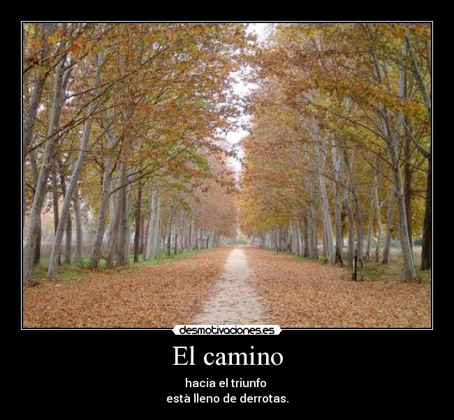 El camino - 