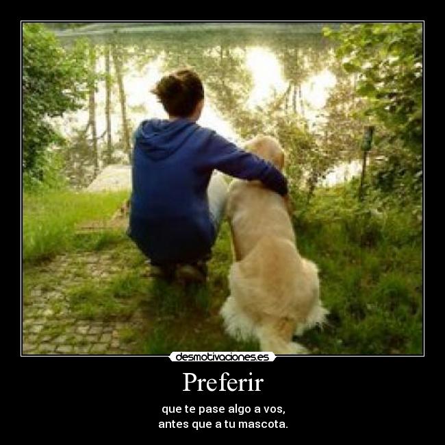 Preferir - 