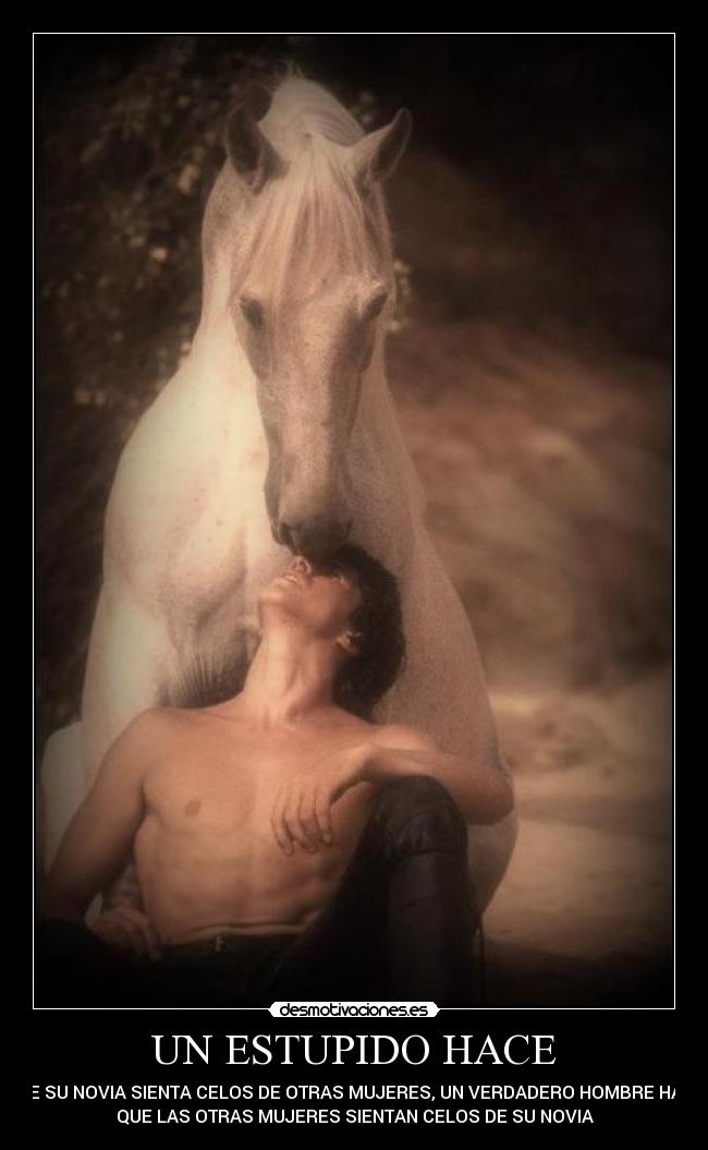 carteles estupido desmotivaciones