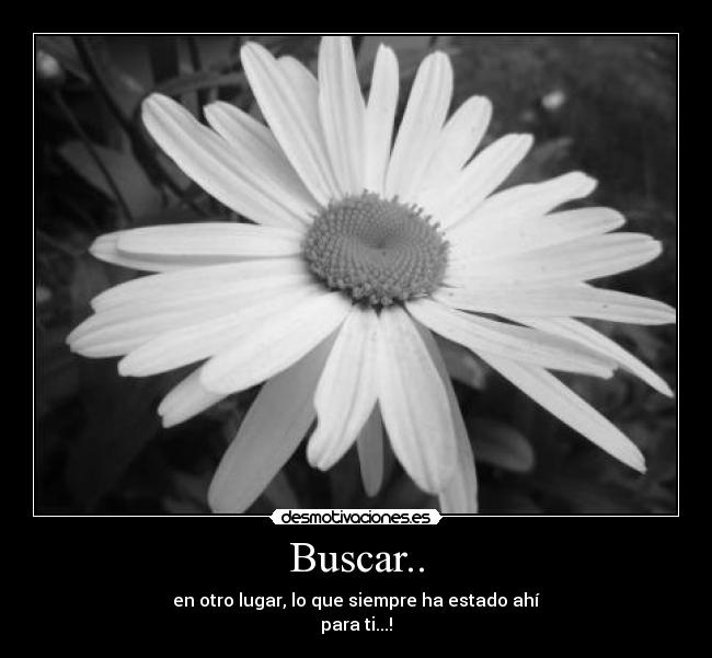 Buscar.. - en otro lugar, lo que siempre ha estado ahí
para ti...!