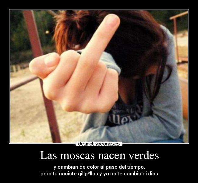 Las moscas nacen verdes - y cambian de color al paso del tiempo,
pero tu naciste gilip*llas y ya no te cambia ni dios