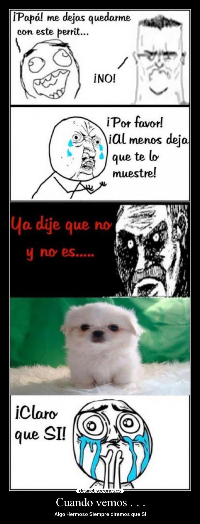 Cuando vemos . . . -