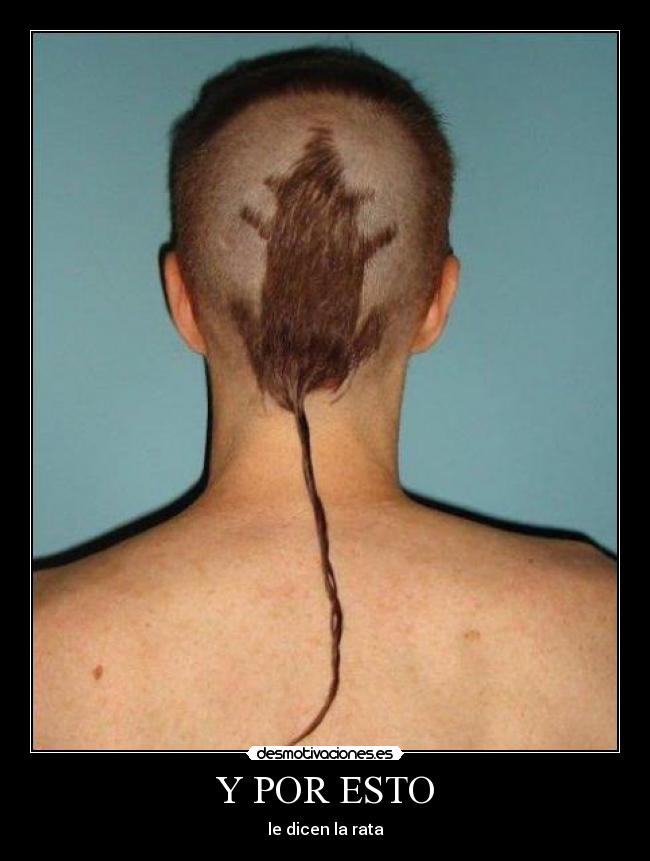 Y POR ESTO - le dicen la rata