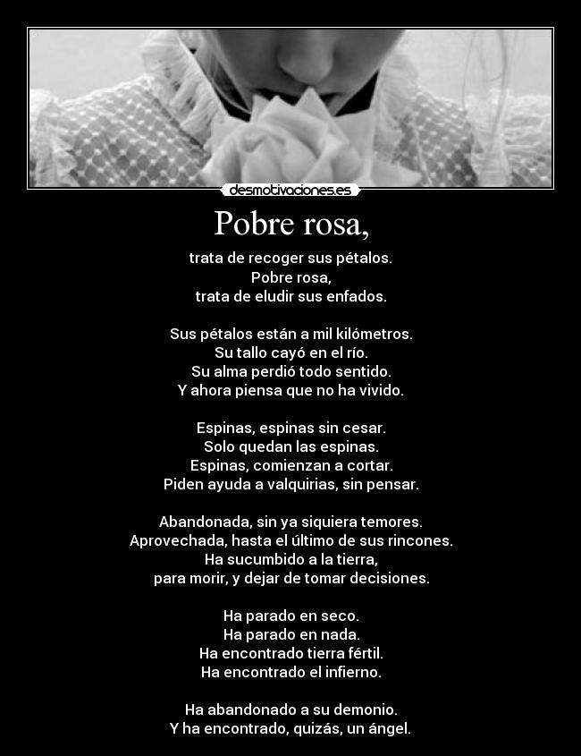 Pobre rosa, - trata de recoger sus pétalos.
Pobre rosa,
trata de eludir sus enfados.

Sus pétalos están a mil kilómetros.
Su tallo cayó en el río.
Su alma perdió todo sentido.
Y ahora piensa que no ha vivido.

Espinas, espinas sin cesar.
Solo quedan las espinas.
Espinas, comienzan a cortar.
Piden ayuda a valquirias, sin pensar.

Abandonada, sin ya siquiera temores.
Aprovechada, hasta el último de sus rincones.
Ha sucumbido a la tierra,
para morir, y dejar de tomar decisiones.

Ha parado en seco.
Ha parado en nada.
Ha encontrado tierra fértil.
Ha encontrado el infierno.

Ha abandonado a su demonio.
Y ha encontrado, quizás, un ángel.