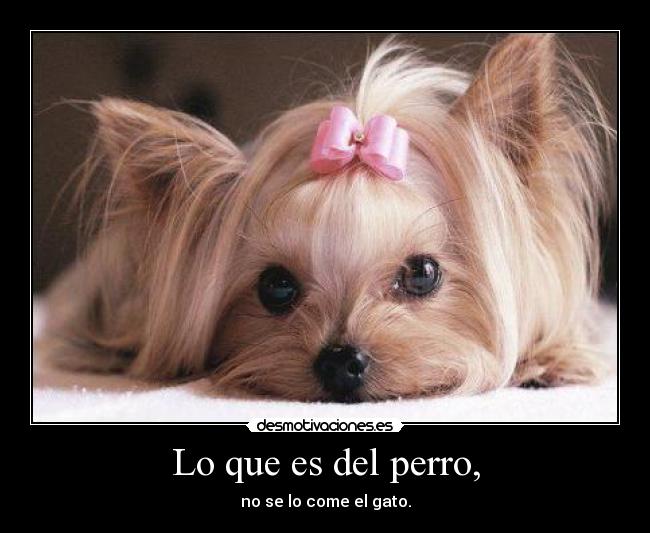 Lo que es del perro, - 