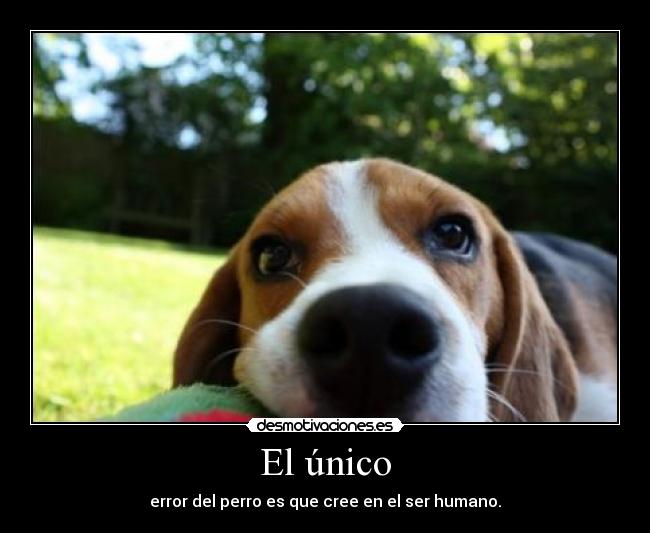 El único -
