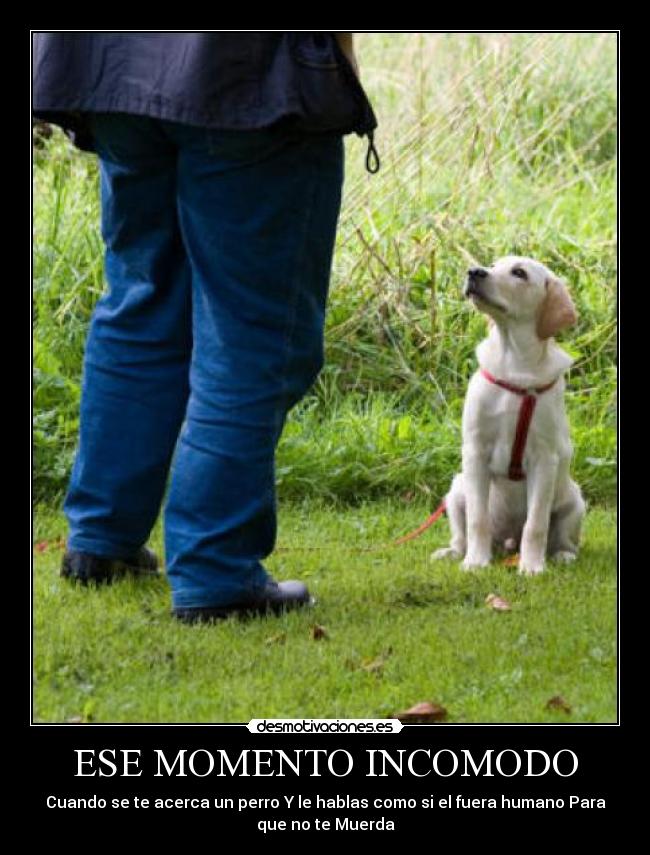 ESE MOMENTO INCOMODO -