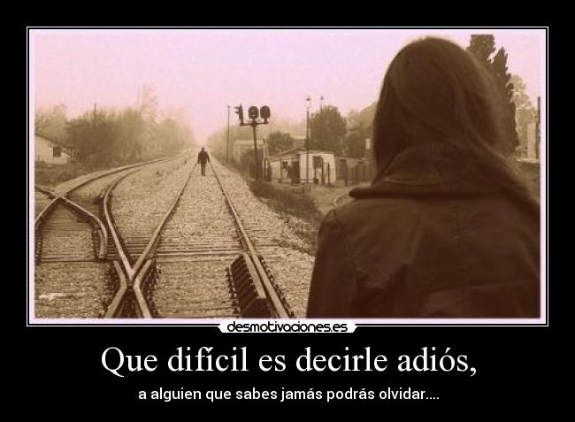 carteles alguien que sabes jamas podras olvidar adios desmotivaciones