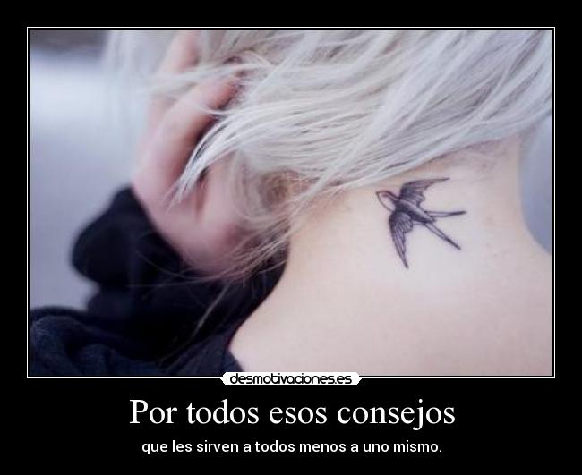 carteles vuela desmotivaciones