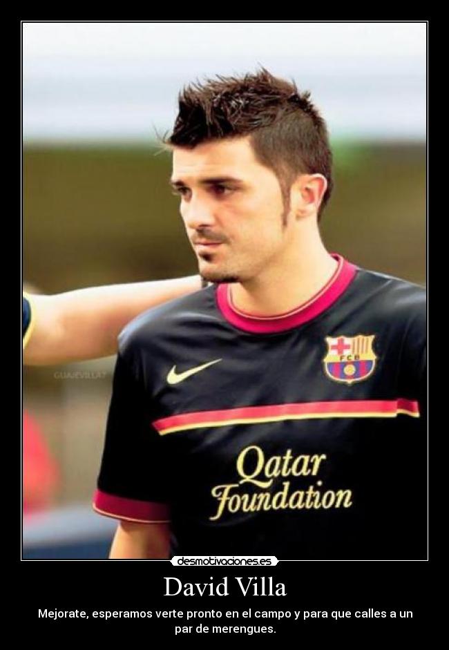 David Villa - 
