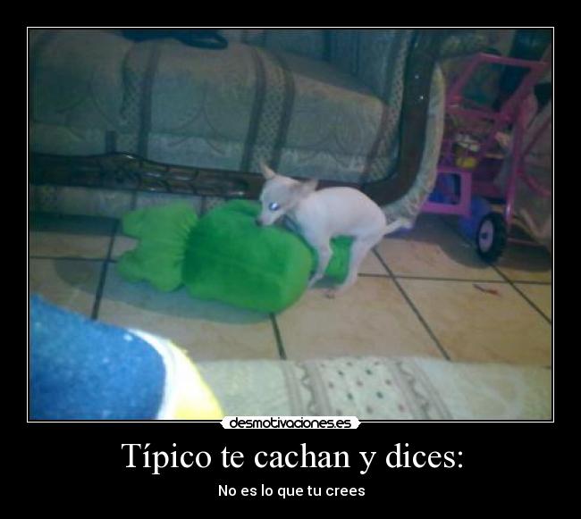 carteles llegara principal desmotivaciones