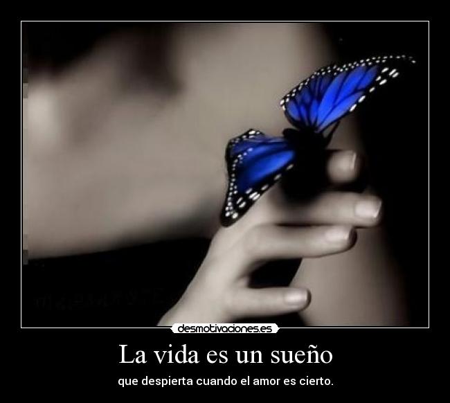 La vida es un sueño - que despierta cuando el amor es cierto.