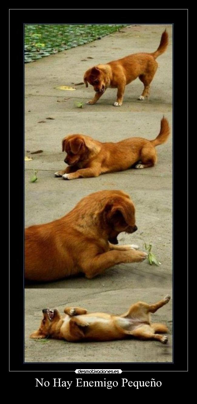 No Hay Enemigo Pequeño -