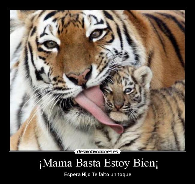 ¡Mama Basta Estoy Bien¡ -