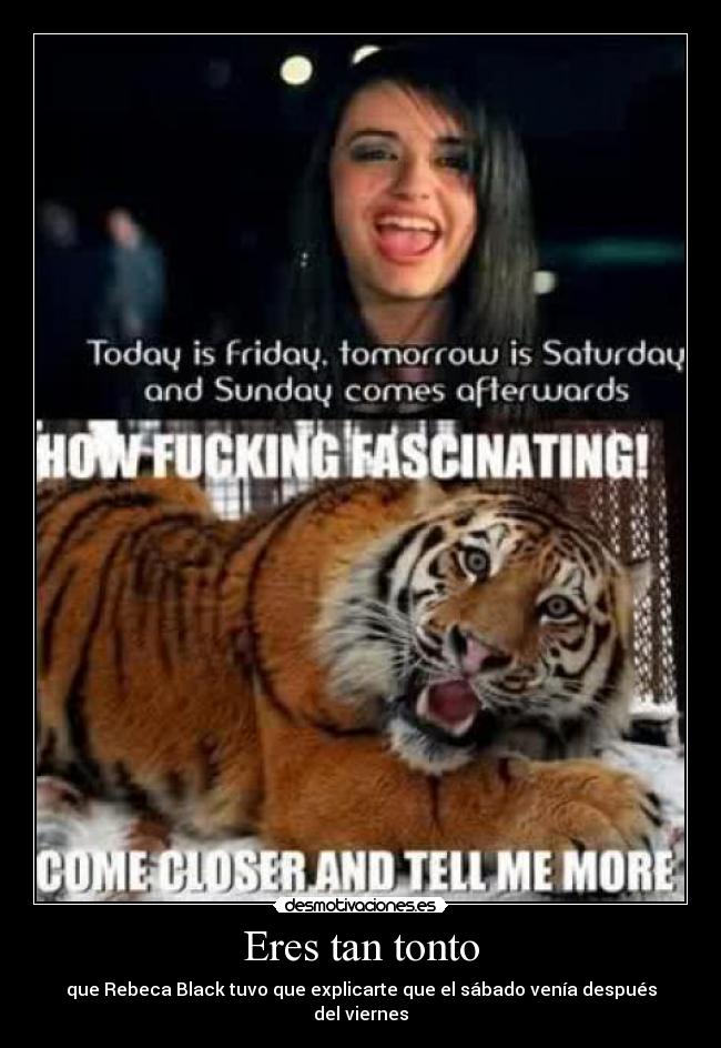 Eres tan tonto - que Rebeca Black tuvo que explicarte que el sábado venía después del viernes