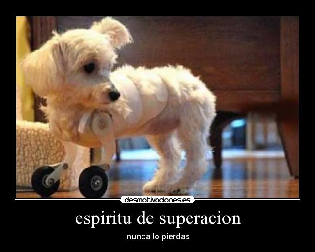espiritu de superacion -