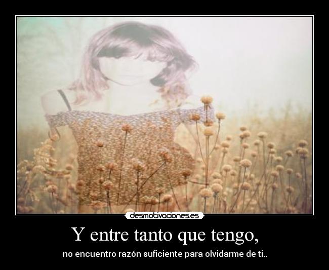 Y entre tanto que tengo, - no encuentro razón suficiente para olvidarme de ti..