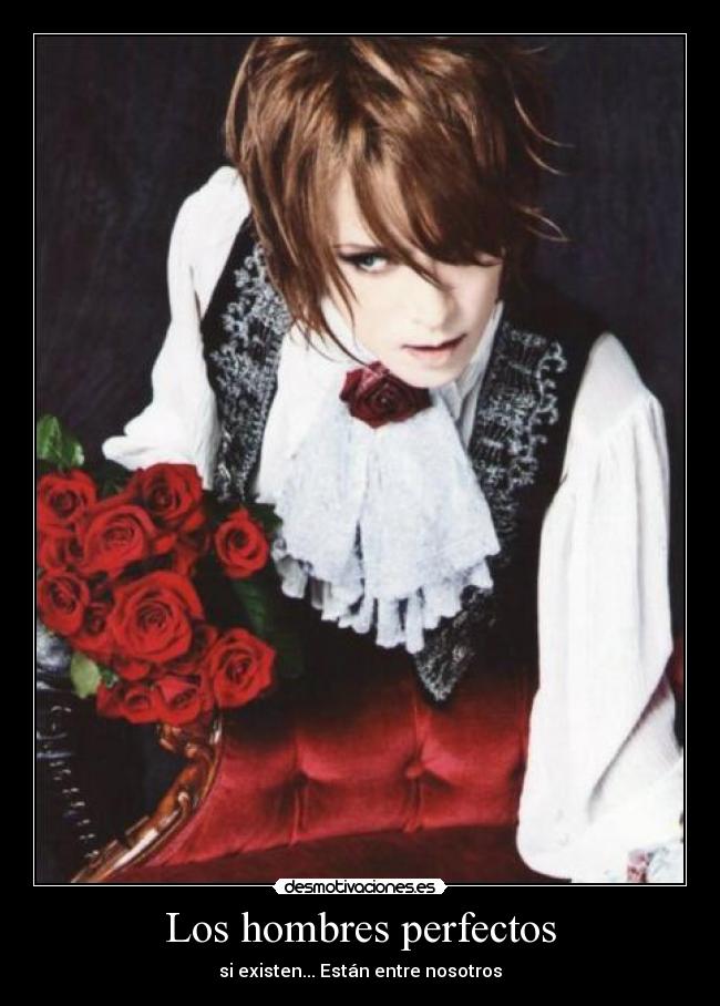 Los hombres perfectos -
