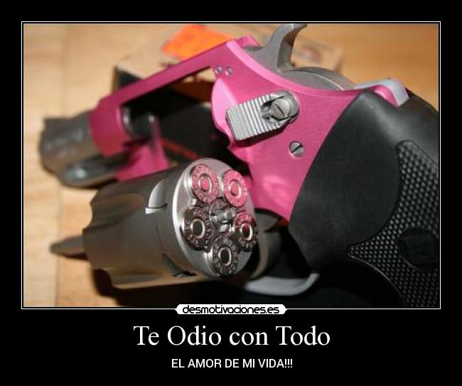 carteles odio pink desmotivaciones