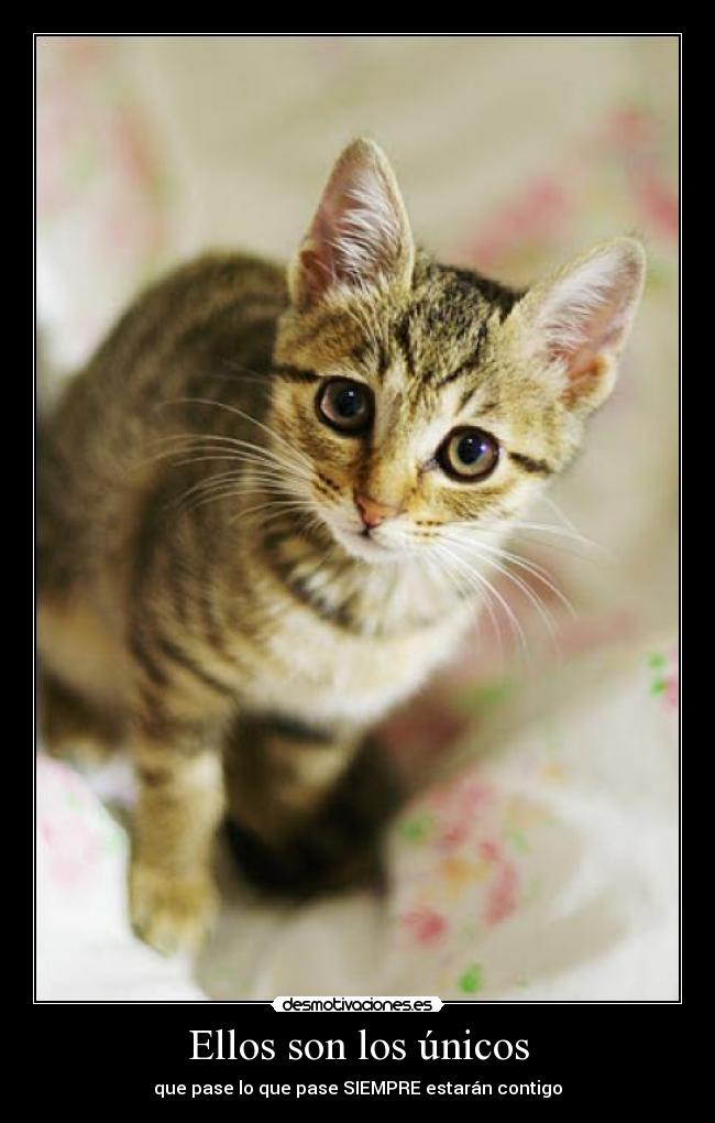 Ellos son los únicos - que pase lo que pase SIEMPRE estarán contigo