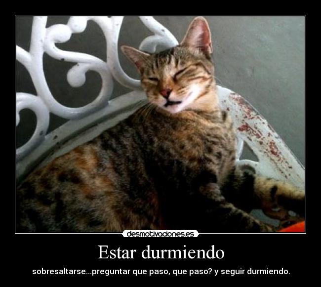 Estar durmiendo - sobresaltarse...preguntar que paso, que paso? y seguir durmiendo.