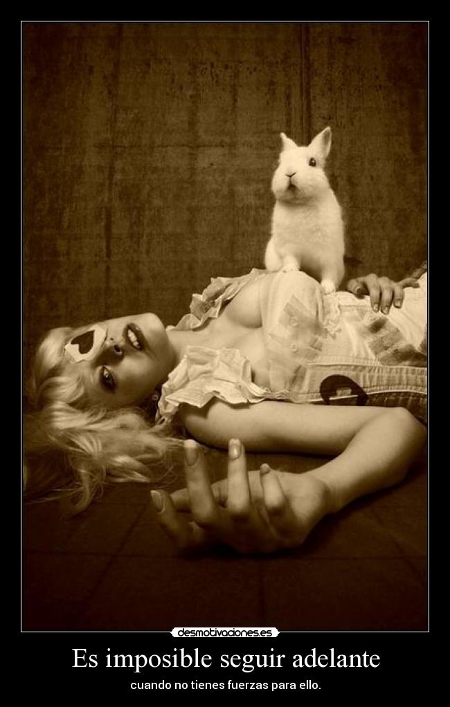 Es imposible seguir adelante - 