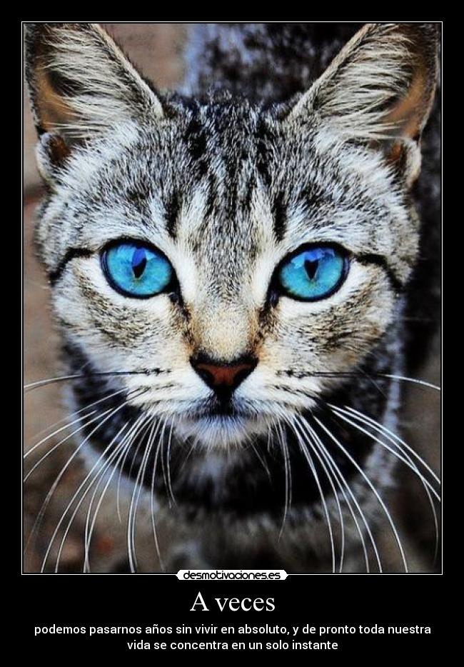 A veces - podemos pasarnos años sin vivir en absoluto, y de pronto toda nuestra
vida se concentra en un solo instante